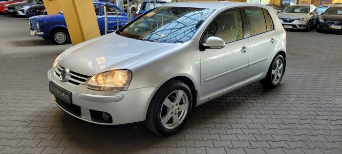 Volkswagen Golf ZOBACZ OPIS !! W podanej cenie roczna gwarancja V (2003-2008)