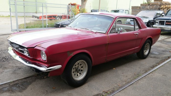 Ford Mustang V8 289cu Automat Sprowadzony C-code LUXURYCLASSIC I (1964-1968)
