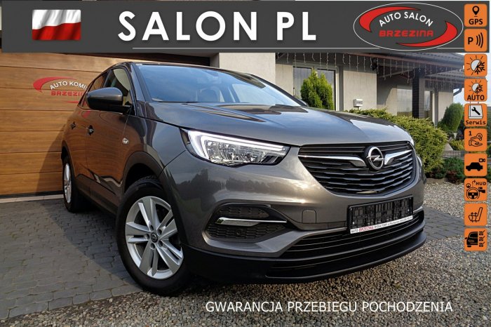 Opel Grandland X serwis ASO, Full Led, nawigacja, FV23%