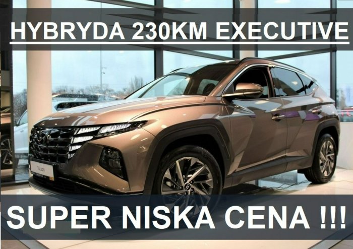 Hyundai Tucson Hybryda 230KM Executive Elektr.Klapa Super Niska Cena 1862zł II (2010-2015)