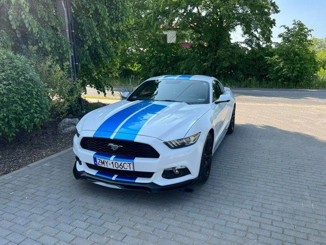 Ford Mustang Ford Mustang 5.0 2015r 50Years Edition VI (2014-)