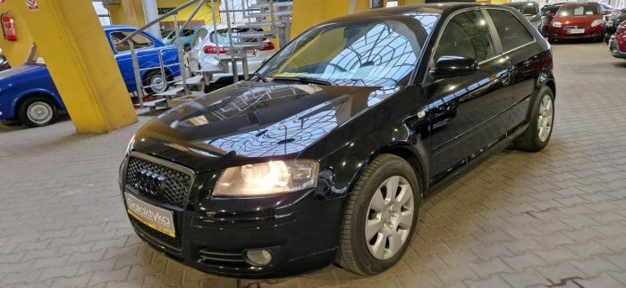 Audi A3 ZOBACZ OPIS !! W PODANEJ CENIE ROCZNA GWARANCJA !! 8P (2003-2012)