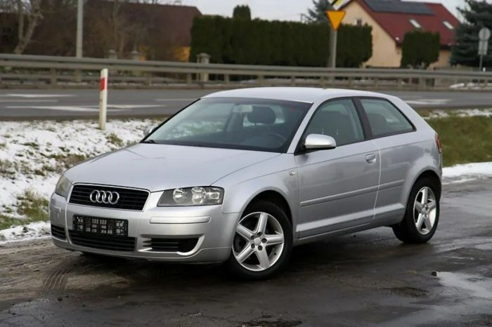 Audi A3 Mały Przebieg! 2.0 Diesel - 140KM! Bardzo zadbana! 8P (2003-2012)
