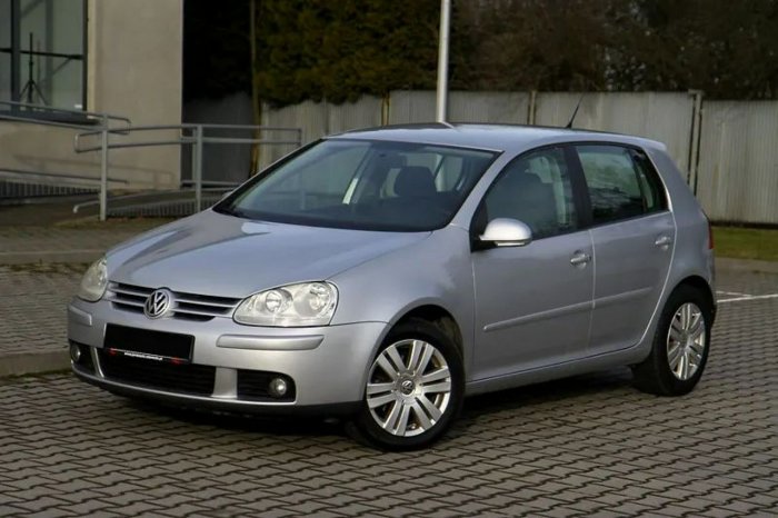 Volkswagen Golf Zarejestrowany w kraju! 1.9 Diesel - 105KM! Bardzo zadbany! V (2003-2008)
