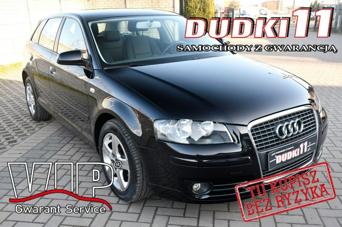 Audi A3 1,6MPI DUDKI11 Klimatr 2 str.El.szyby.kredyt.Tempomat,Hak 8P (2003-2012)