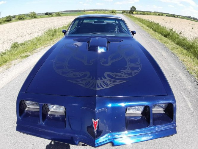 Pontiac Firebird / Trans Am MIDNIGHT BLUE 1981 do KOLEKCJI V8 odrestaurowany bolt on NOWA CENA ! II (1970-1981)