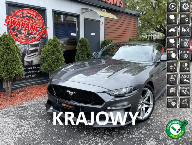 Ford Mustang Doinwestowany, Polski Salon, Bezwypadkowy, ASO, Kute Alu felgi, MG VI (2014-)