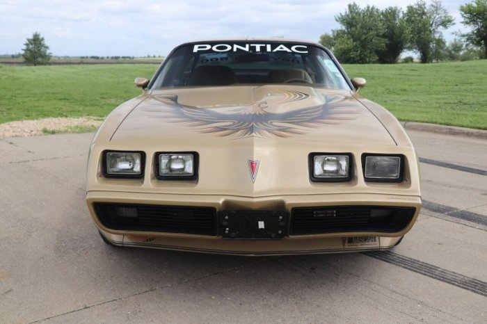Pontiac Trans Am 1980 II (1970-1981)