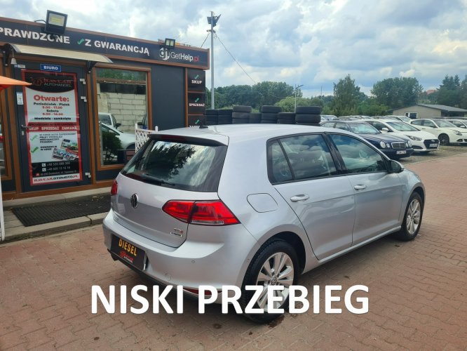 Volkswagen Golf 1.6 diesel / Niski Przebieg / Sam parkuje / Opłacony / 5 drzwi / VII (2012-)
