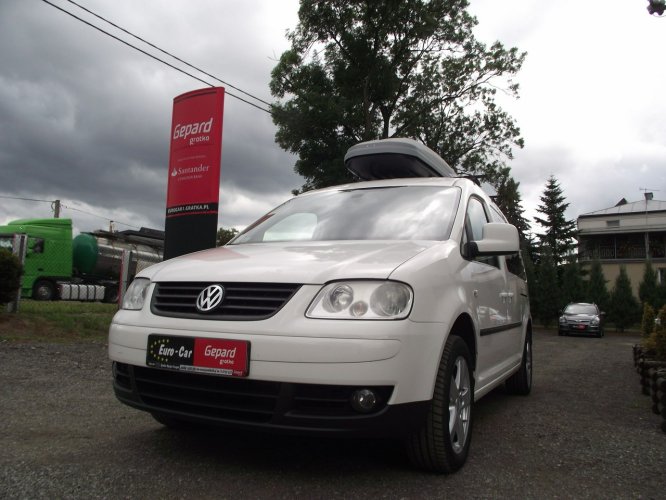 Volkswagen Caddy Maxi 7 osobowy III (2004-)