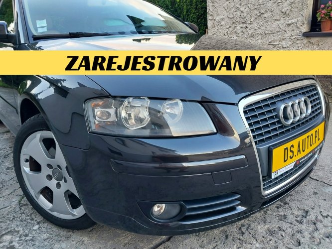 Audi A3 Audi A3 8P • TDI • 5 drzwi • 17'' ALU • 2006 • bez DPF • sprowadzony 8P (2003-2012)