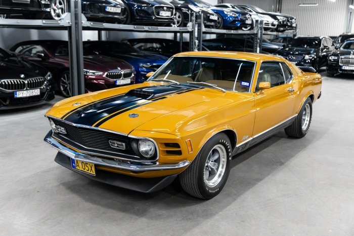 Ford Mustang Mach 1 1970. 5.8L 300 KM. Pełna dokumentacja. Wspaniały stan. II (1969-1978)