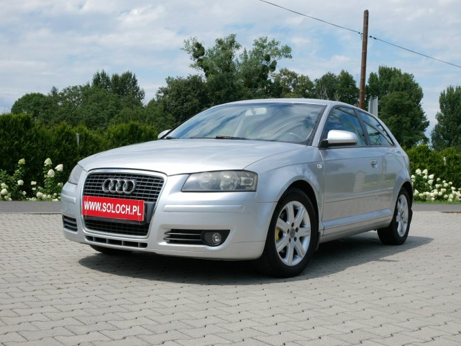 Audi A3 1.6 102KM -2xKlimatr -Krajowy -1 Wł od 10 lat -Nowy rozrząd +hamulce 8P (2003-2012)