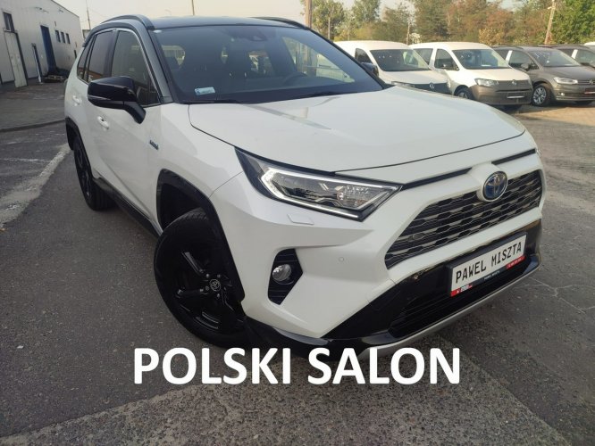 Toyota RAV-4 Salon Polska fv23% V (2018)