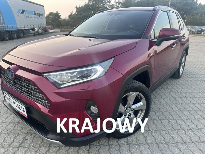 Toyota RAV-4 Salon Polska fv23% V (2018)