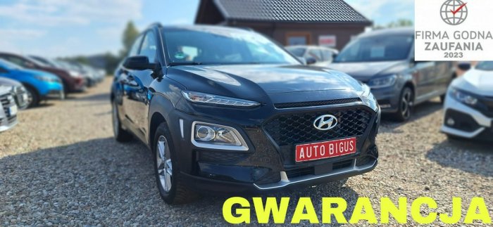 Hyundai Kona Jak nowa duza navi ledy mały przebieg I (2017-2023)