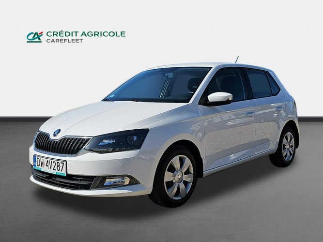 Škoda Fabia Skoda Fabia 1.4 TDI Ambition Hatchback DW4V287 III (2014-)