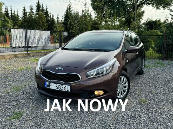 Kia Cee'd Kia Ceed 1.4 benzyna, piękny kolor, stan wzorowy. II (2012-)