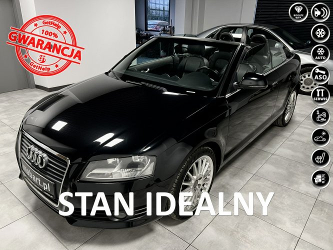 Audi A3 1.9 TDI 105KM*I Lift*Kabriolet*Klimatronic*ALU 18*Tempomat*Z DE 8P (2003-2012)