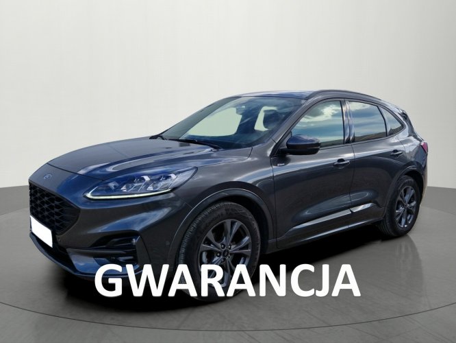 Ford Kuga 1.5 150KM St-line X. Od Dealera. III (2019-)