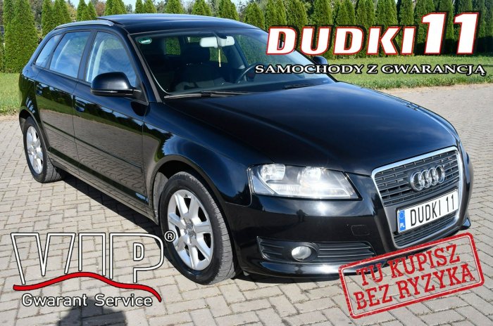 Audi A3 1.8Turbo DUDKI11 Serwis,Klimatr 2 str.Panorama Dach.kredyt.OKAZJA 8P (2003-2012)