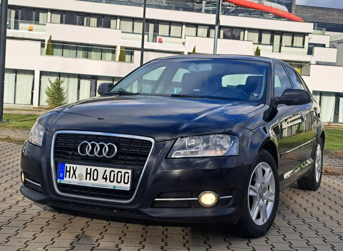 Audi A3 * 2.0 COMMON RAiL* BDB STAN* KLiMAtronik* halogeny**podgrzew. fotele* 8P (2003-2012)