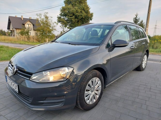 Volkswagen Golf Polski salon, Bezwypadkowy VII (2012-)