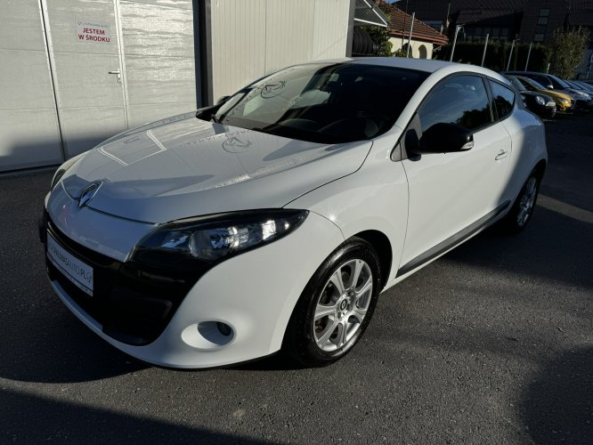 Renault Megane Raty/Zamiana Gwarancja benzyna serwisowana do samego końca śliczna!!! III (2008-2016)