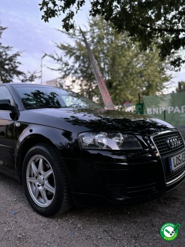 Audi A3 8P (2003-2012)