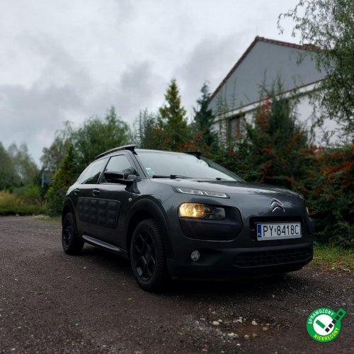 Citroen C4 Cactus Zadbany I (2014-)