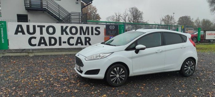 Ford Fiesta Stan bardzo dobry. Mk7 (2008-)