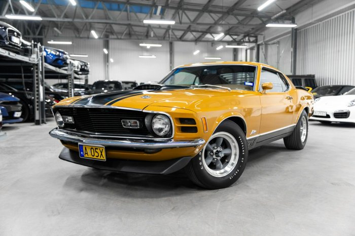 Ford Mustang Mach 1 1970. 5.8L 300 KM. Pełna dokumentacja. Wspaniały stan. II (1969-1978)