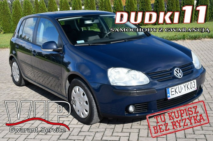 Volkswagen Golf 1,4Benz. Podg.Fot.Klimatyzacja.Serwis.Nowy Rozrząd.kredyt.OKAZJA V (2003-2008)