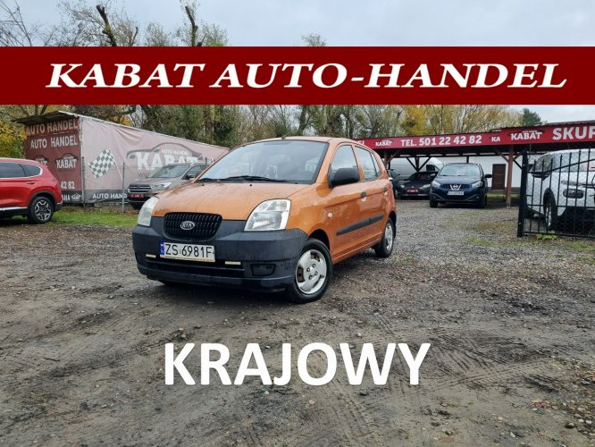 Kia Picanto Salon PL - II WŁ - Wspomaganie - 5 Drzwi - Tylko 98 tys przebiegu I (2004-2010)