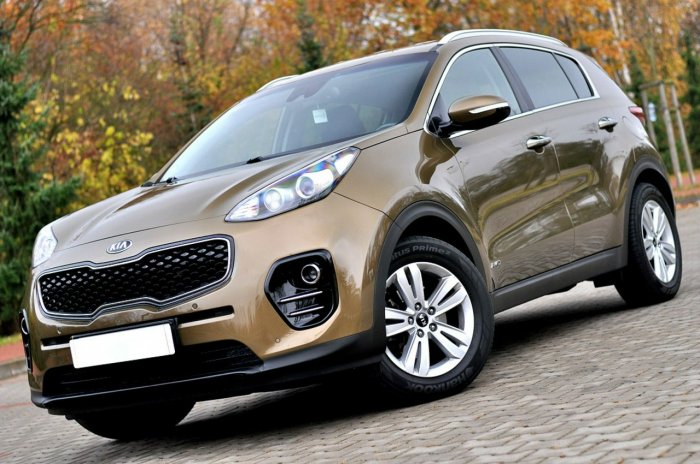 Kia Sportage 2,0CRDi 136KM 4X4 Automat Navi Klimatronik Kamera Skóra Full Opcja IV (2016-2021)