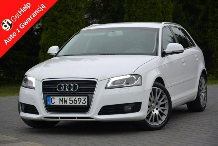 Audi A3 BI-Xenon Ledy Skóry Relingi Parktronic Aso 8P (2003-2012)