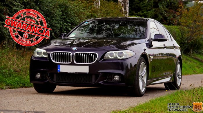 BMW 525 d xDrive 2015 z Polskiego Salonu, Perfekcyjny Stan, Pełne Wyposażenie F10 (2009-2017)