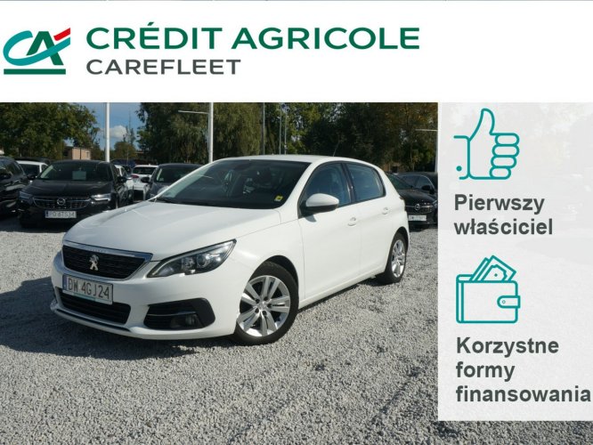 Peugeot 308 1.5 Blue HDi/102 KM Active Salon PL Fvat 23% DW4GJ24 T9 (2014-2021)